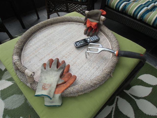 Blog Photo - Gail's garden - implements on tray