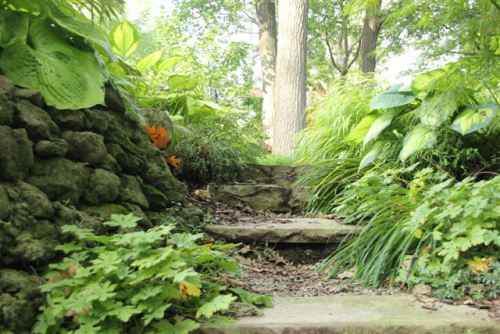 Blog Photo - Mary's Garden Steps and Trees