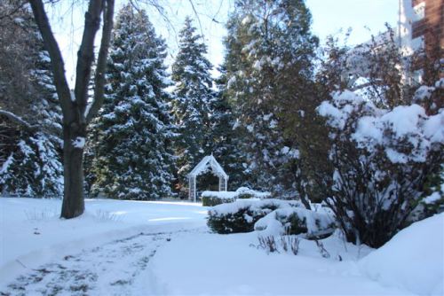 Blog Photo - Winter Garden