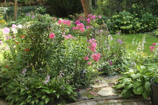 Blog Photo - Garden with Phlox