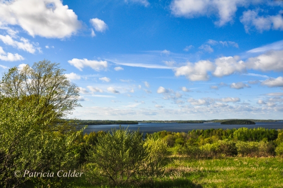 SOTH - Patricia Calder-View of Rice Lake