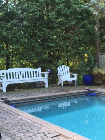 Blog Photo - Garden Sept 2018 benches and blue pot by pool