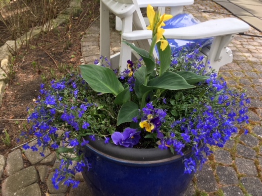 Blog Photo - Spring 2018 Blue Pot and Chair